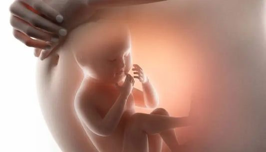 Reconnaître-le-Cœur-de-votre-Bébé-avec-BébéBeat-Conseils-et-Astuces BébéBeat